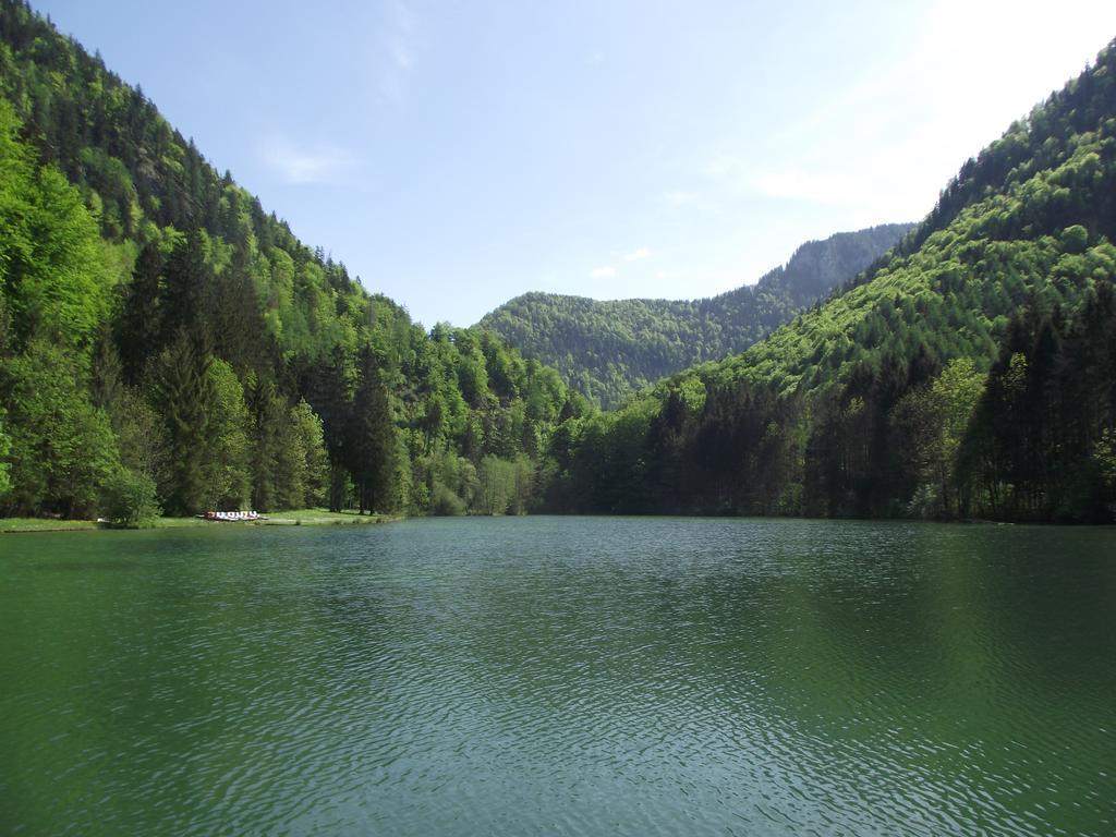 Ferienwohnung Am Roemerweg Wald Inzell Exterior foto